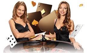 ohtogel user Mobile user and Brand